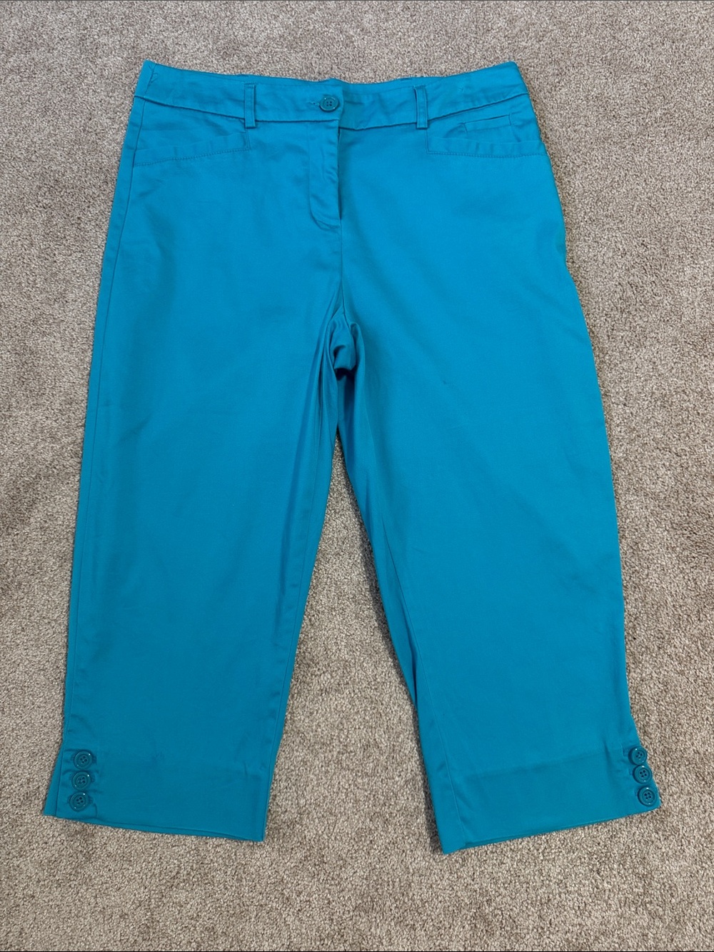 Counterparts Teal Crop Capris Pants SZ4P